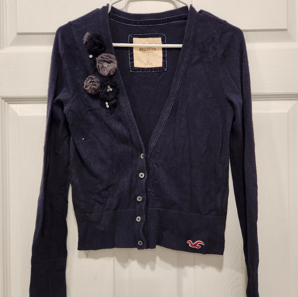 L Hollister cardigan